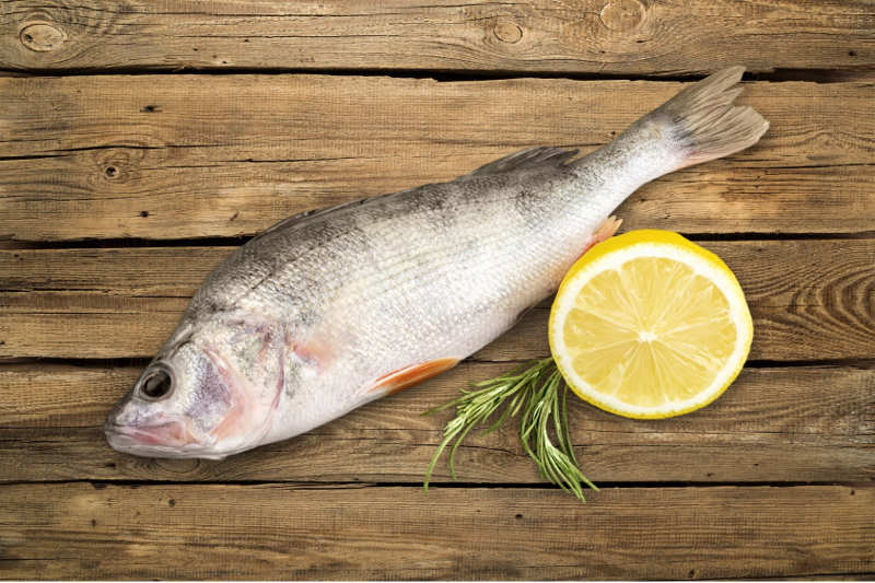 Zdrowy jak ryba – mit czy prawda?